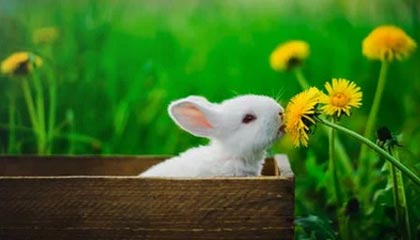 爱游戏体育app网页版下载-VALORANT 职业选手竞技状态火热，valorant职业选手设置